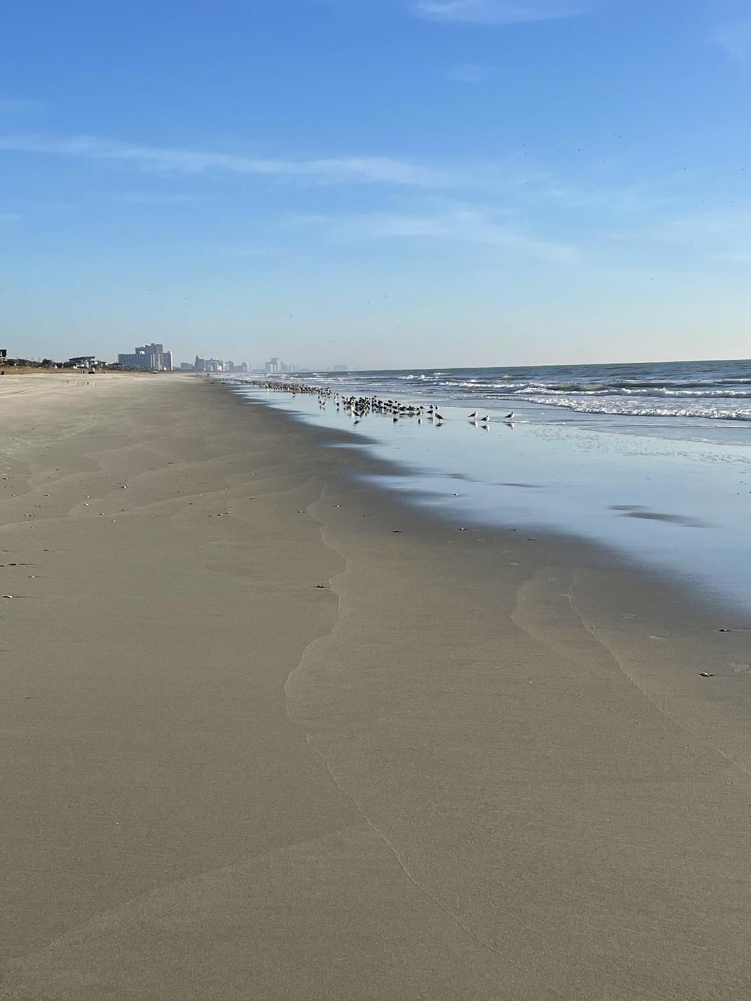 Blue Palmetto Vacation Rentals Myrtle Beach Eksteriør bilde