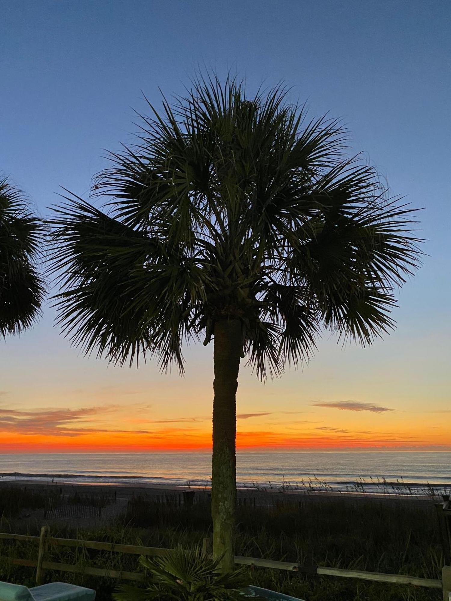 Blue Palmetto Vacation Rentals Myrtle Beach Eksteriør bilde